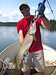 Big Thick Northern Pike Fishing at Fireside Lodge by Bill